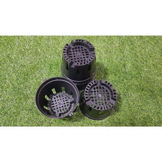 Combo 10 chậu đen trồng lan phi 14cm