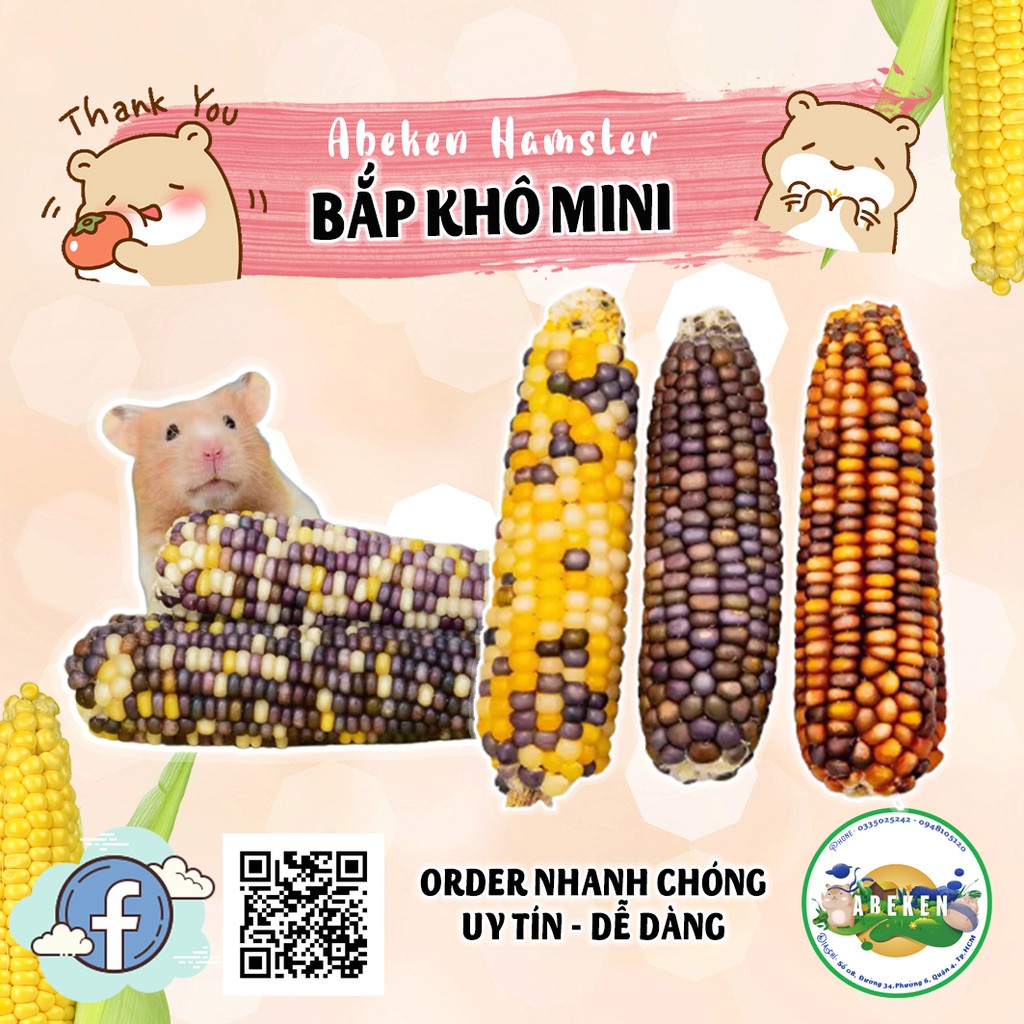 Trái bắp khô mini dành cho Hamster/ Thỏ/ Bọ/ Chinchilla