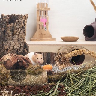 🌿Đế bình nước gỗ hamster🌿