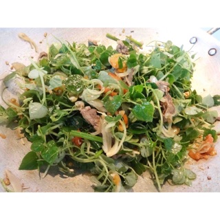 Hạt giống Rau càng cua 🦀 ☘️
