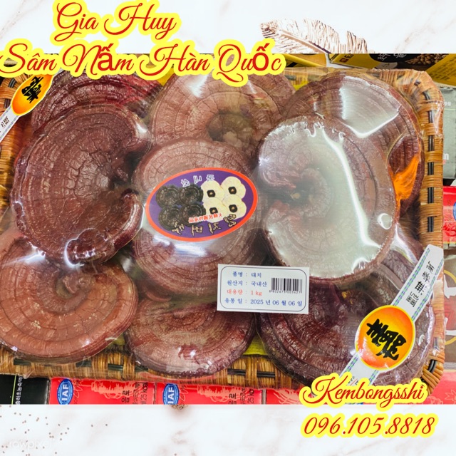 [SỈ TẬN GỐC ] Nấm Linh Chi Tai Đỏ 6 Năm Tuổi Dạng Khay HÀN QUỐC
