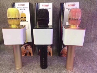 Mic SD 08 ( hàng thật ảnh thật )