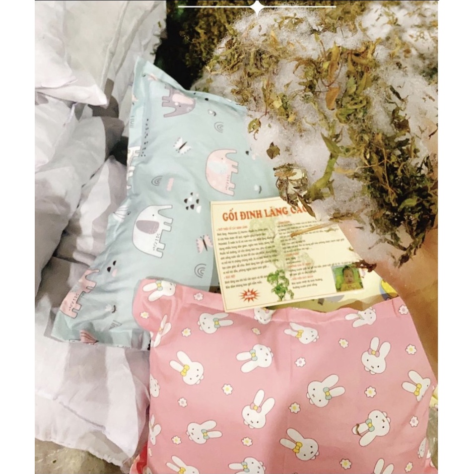 Gối đinh lăng cho bé sơ sinh và trẻ em vỏ cotton Anh Việt