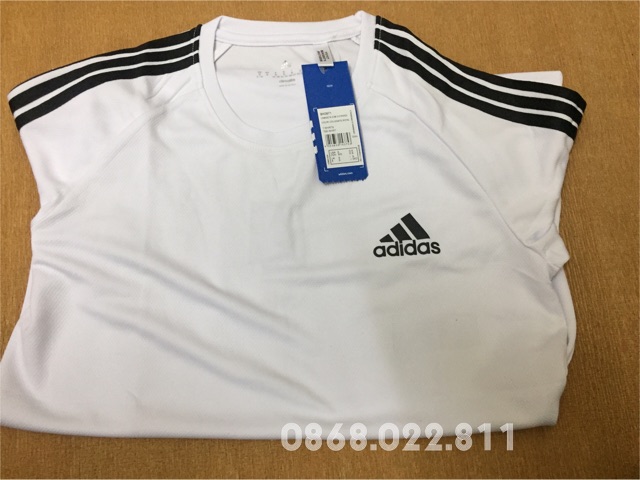 Áo  Phông Full tem Tag hàng vải dư nhà máy | BigBuy360 - bigbuy360.vn