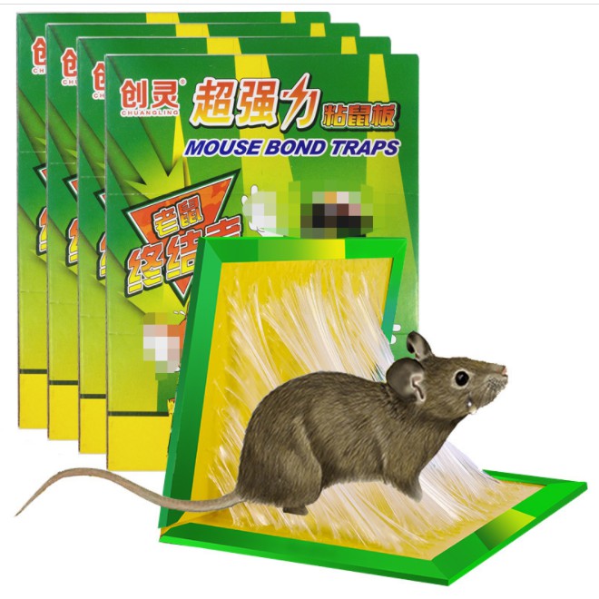 Keo dính chuột - keo bẫy chuột