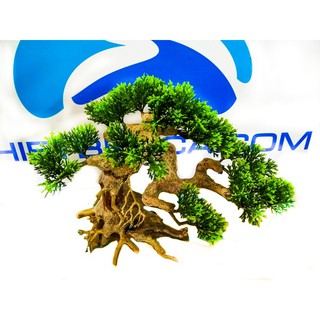 Cây giả gỗ Bonsai mini cho bể cá. Cây bonsai trang trí bể thủy sinh