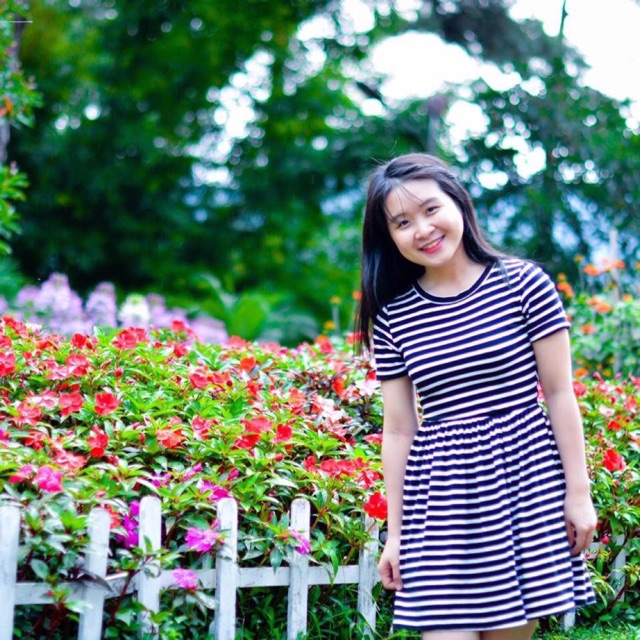 Thanh lý đầm sọc