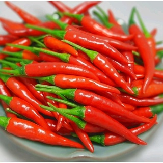 Ớt Đà Lạt tươi, xanh, sạch