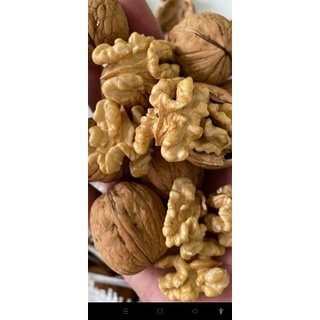 500g Qủa óc chó mỹ