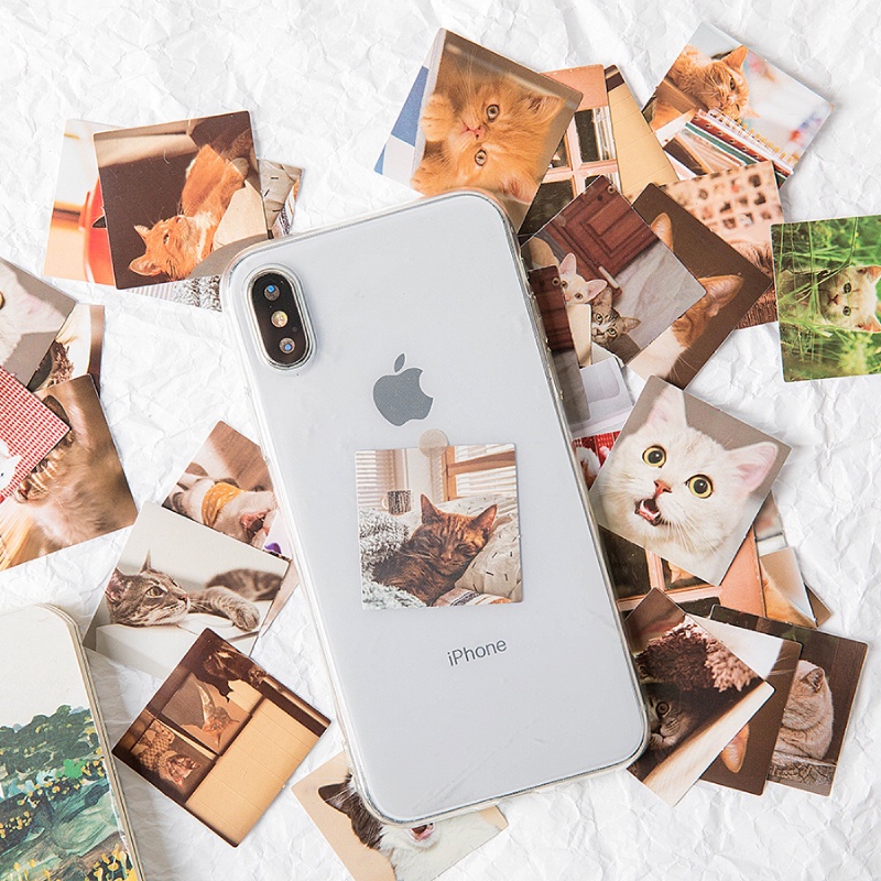 Set 46 Miếng Dán Hình Mèo Dễ Thương Dùng Trang Trí Album Ảnh/ Sổ Tay DIY