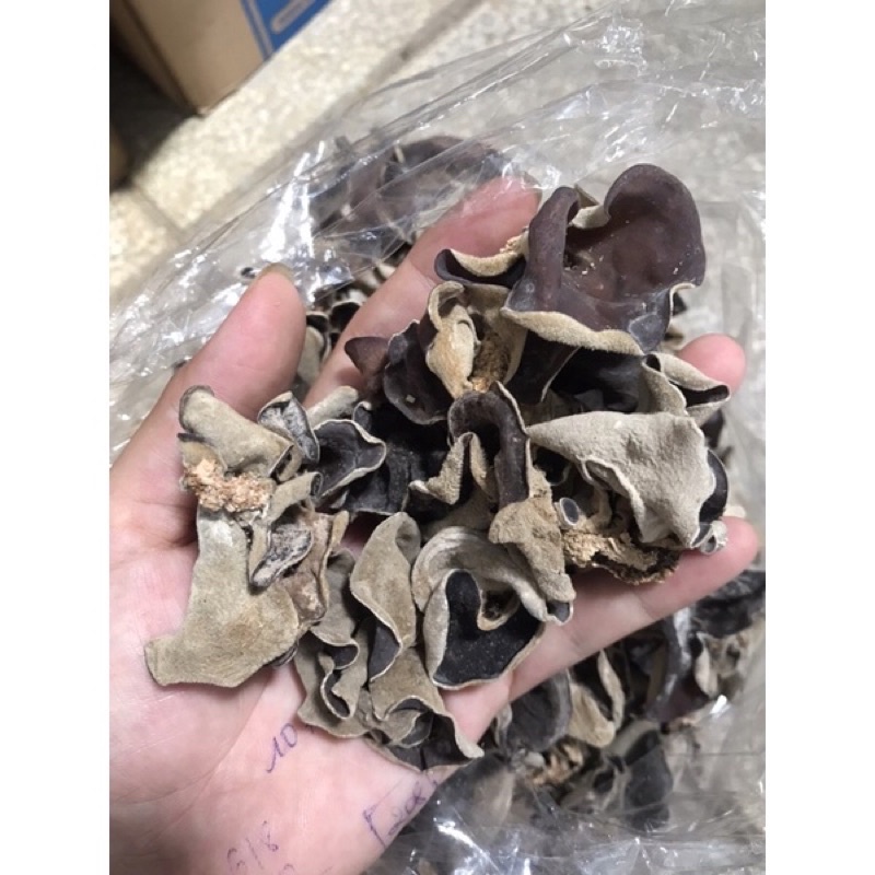 NẤM MÈO KHÔ - MỘC NHĨ ĐEN LOẠI TO DÀY LOẠI 1