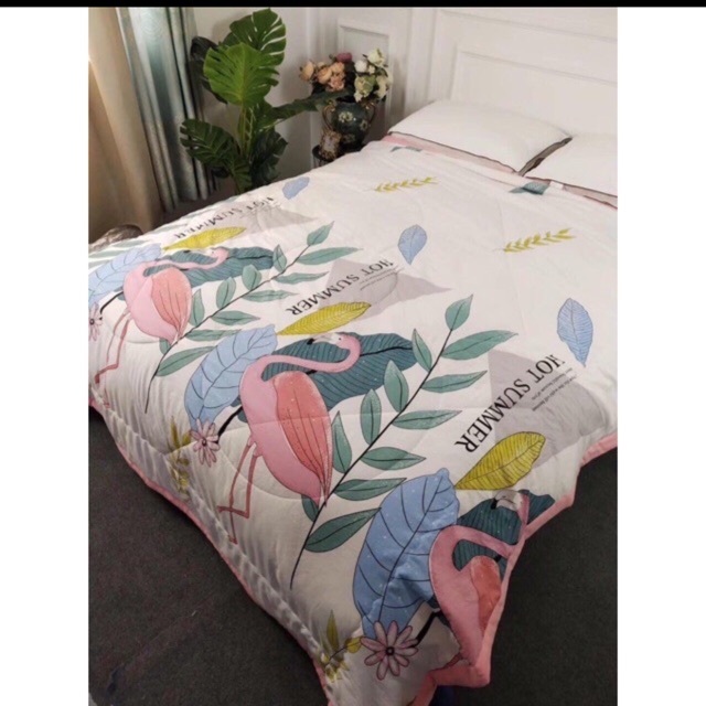 Combo 10 chăn zara home