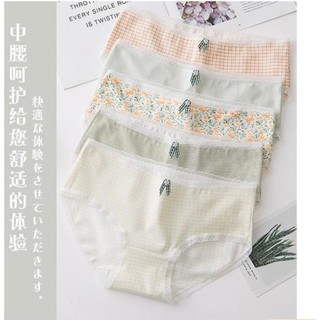 HÈ Quần chip cotton >> 💯 ་ new , ) !