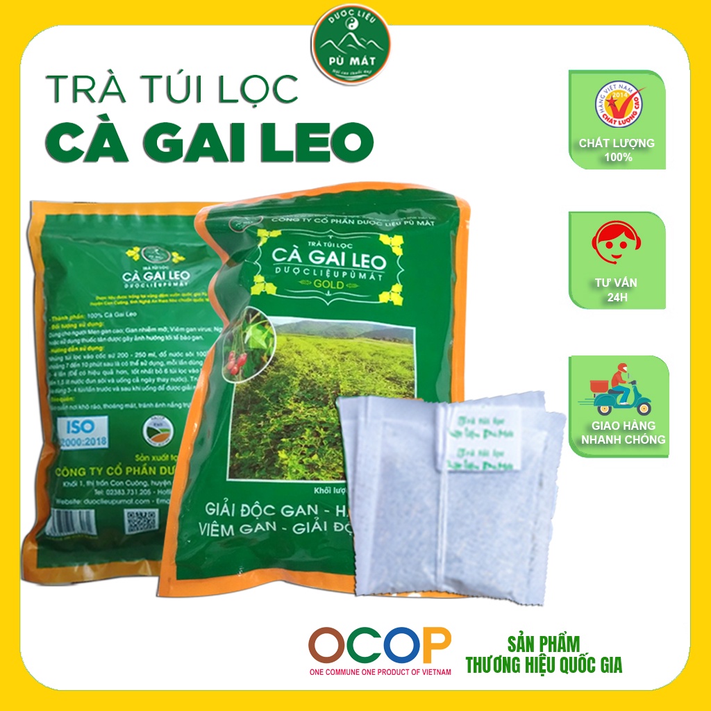 TRÀ TÚI LỌC CÀ GAI LEO PÙ MÁT - PHIÊN BẢN TÚI ZIP MỚI NHIỀU TRÀ HƠN