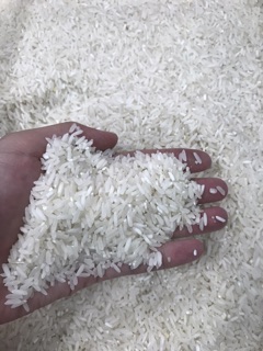 Gạo Horeca