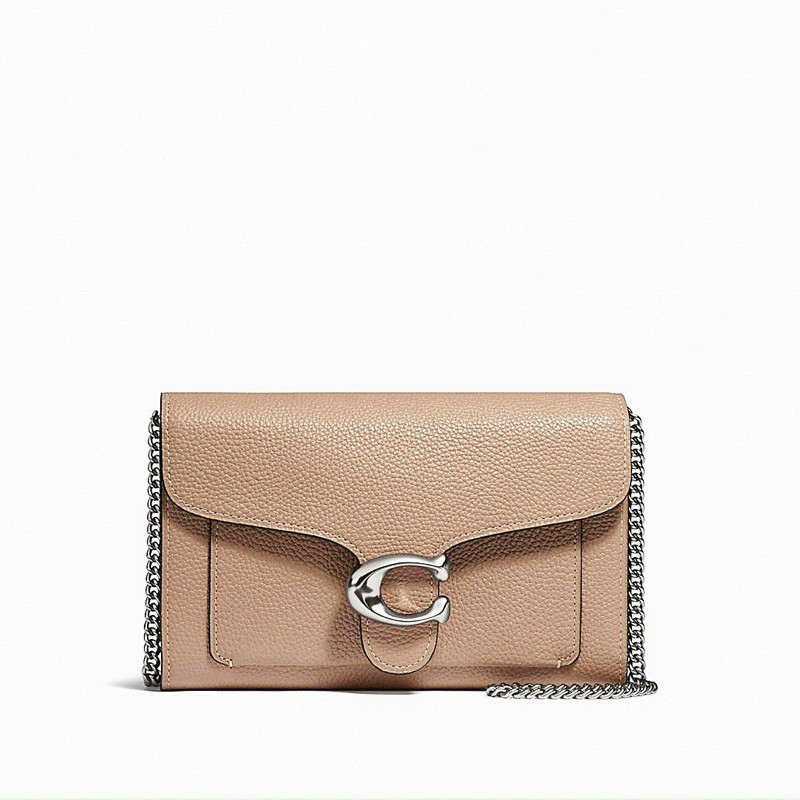 Clutch coach tabby mini