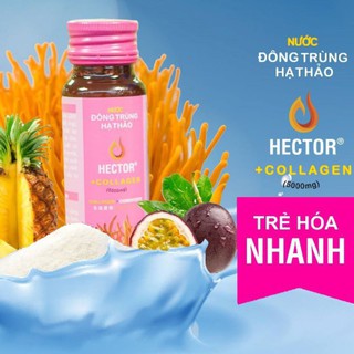 Nước Đông Trùng Hạ Thảo Hector Collagen Hộp 10 chai Hector cordyceps