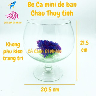 Chậu thủy tinh, bể cá mini để bàn chân ly size 20 x 21.5 cm lc02