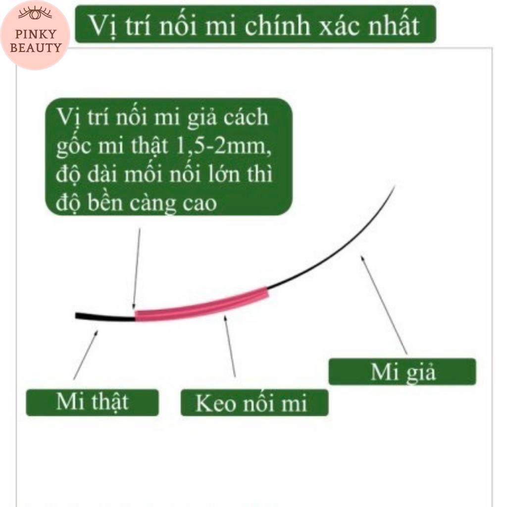 Lông Mi Giả Chùm Katun, Mi Mắt Ướt Mi Giả Tự Nối Dạng Chùm Phong Cách Hàn Quốc Lông Mi 3D Độ Dài 8-12mm - Pinky Beauty