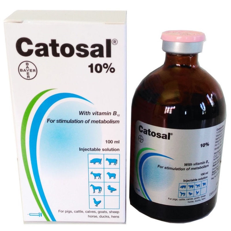 (chai lẻ) Catosal 10% cung cấp dinh dưỡng dạng tiêm cho động vật
