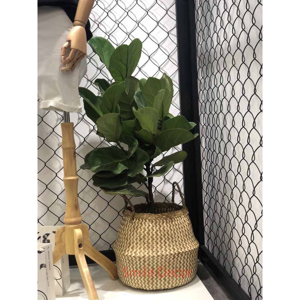 Giỏ cói trồng cây, giỏ xách đi chợ Smile Decor đơn giản, bảo vệ môi trường