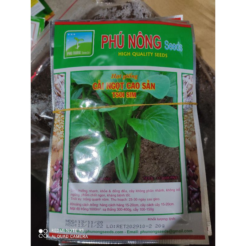 Hạt Giống Rau Cải Ngọt Cao Sản gói 20g