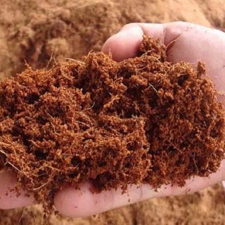 (giá rẻ) Xơ dừa nghiền (mùn dừa) túi nhỏ