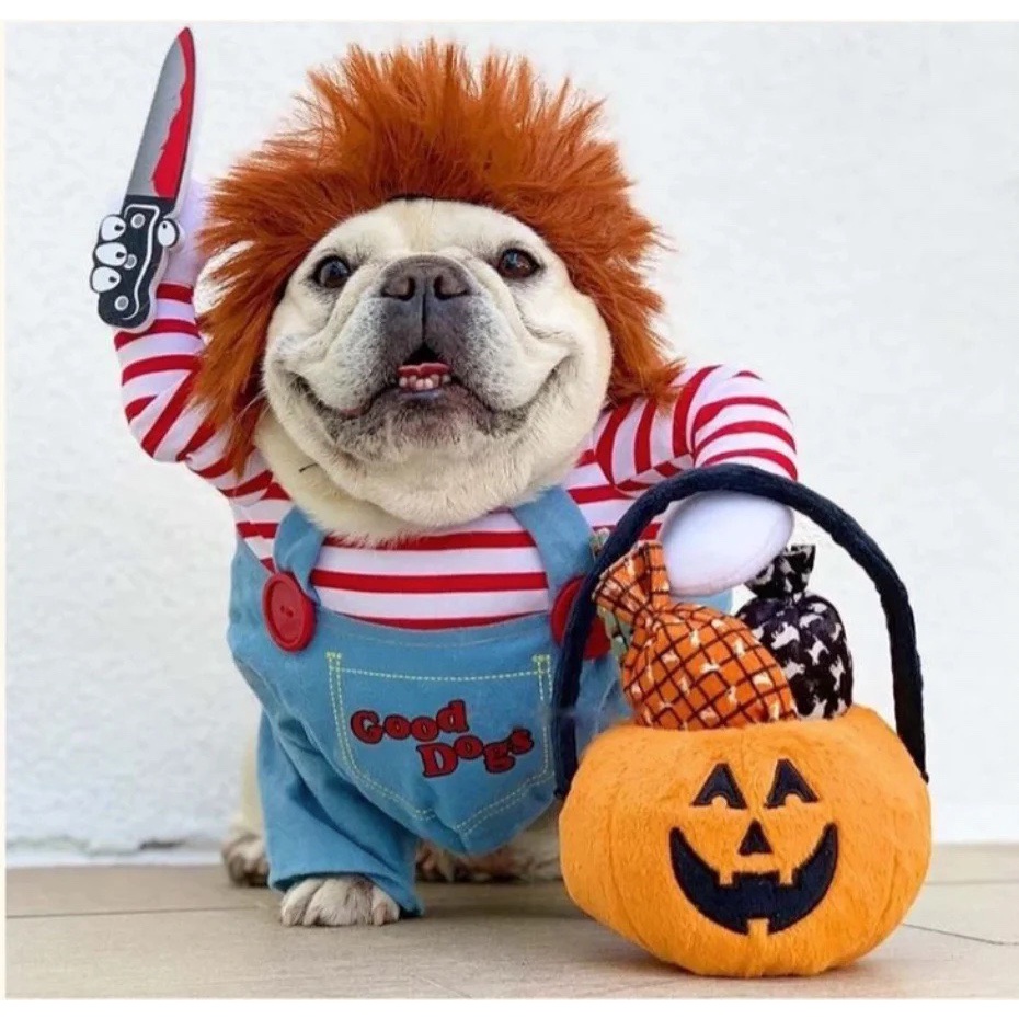 TẾT 2023 (QUÝ MẸO) ÁO COSPLAY KẺ GIẾT NGƯỜI VUI NHỘN HÀI HƯỚC LỄ HỘI GIÁNG SINH CHO THÚ CƯNG CHÓ MÈO