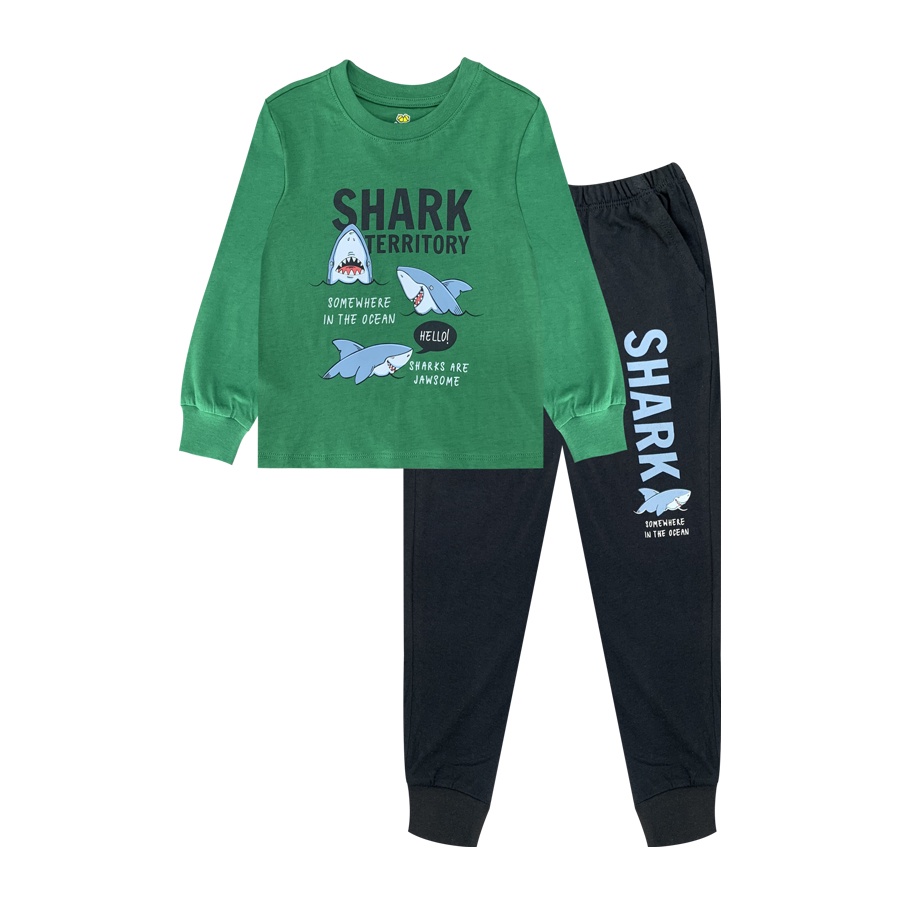 Bộ đồ dài tay Trai ARDILLA In họa tiết hoạt hình ngô nghĩnh,set quần áo trẻ em nam Chất Vải Mềm Mại Cho Bé Từ 2-9T CB001