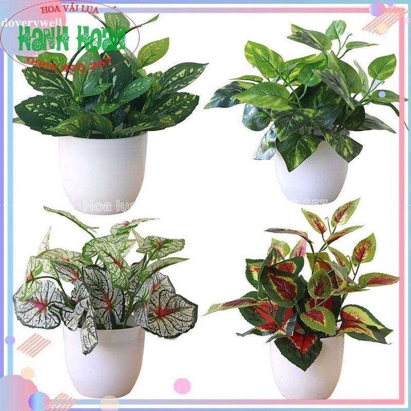 Cây lá điểm nhỏ trang trí tiểu cảnh , tường cỏ các loại- Cây lá giả