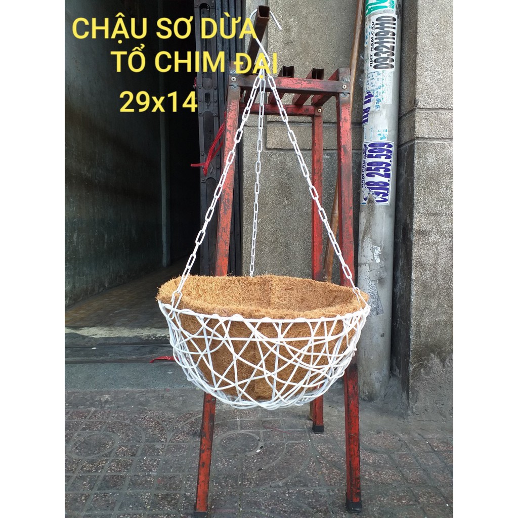 Chậu treo sơ dừa