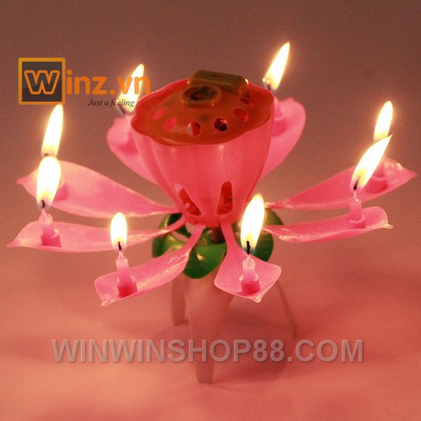 Nến sinh nhật nở hoa và phát nhạc - Muasamhot1208