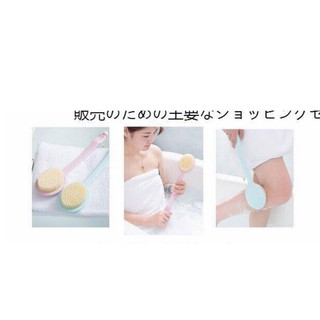 Cây Kỳ Cọ Lưng Lưng Nhật Bản