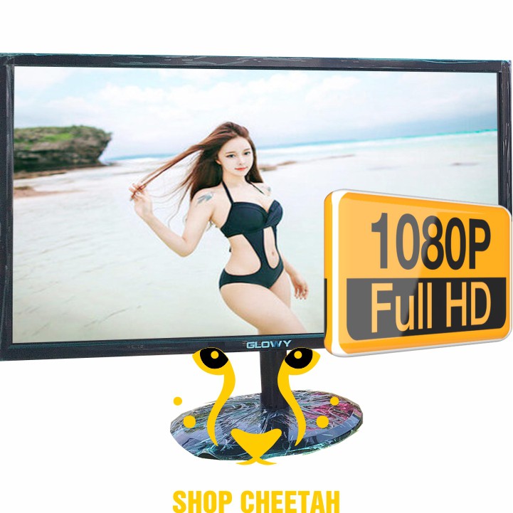 Màn hình LCD Gloway 22 inch - Full HD 1680 x 1050P - Chính hãng – Bảo hành 24 tháng