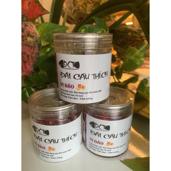 Hạt đan câu cá Đài Câu Thích chuyên trắm đen