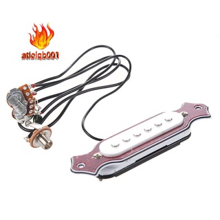 Pickup đàn guitar acoustic có nam châm