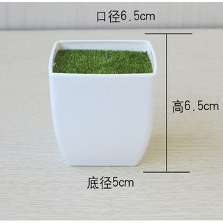 Chậu hoa nhựa Cao Cấp