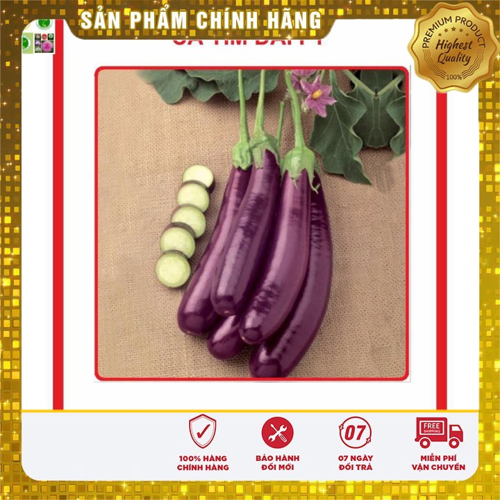 Hạt giống Cà Tím Dài F1 2gram [Bán Sỉ]