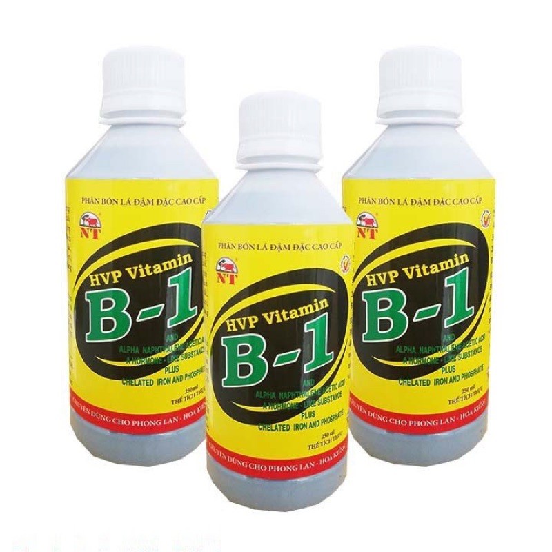 Phân bón lá Cao cấp, đậm đặc B1 HVP chai 250ml chuyên dùng cho phong lan, cây cảnh