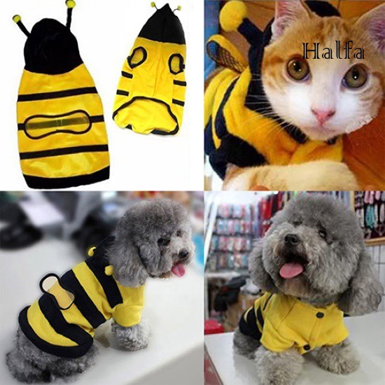 Áo Hoodie In Chữ Rxcw Dễ Thương Cho Thú Cưng