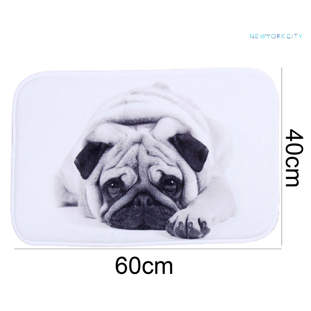 Thảm Chùi Chân Chống Trượt In Họa Tiết Hoạt Hình Dễ Thương