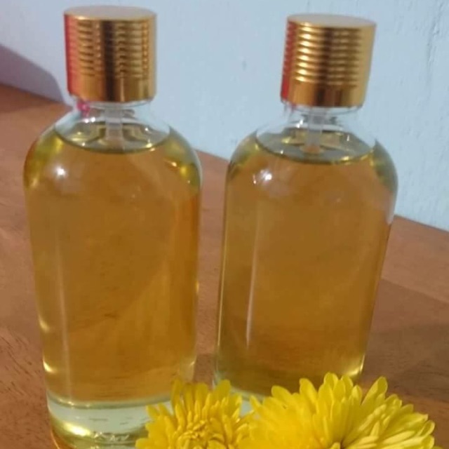 Dầu tràm chuẩn gốc huế