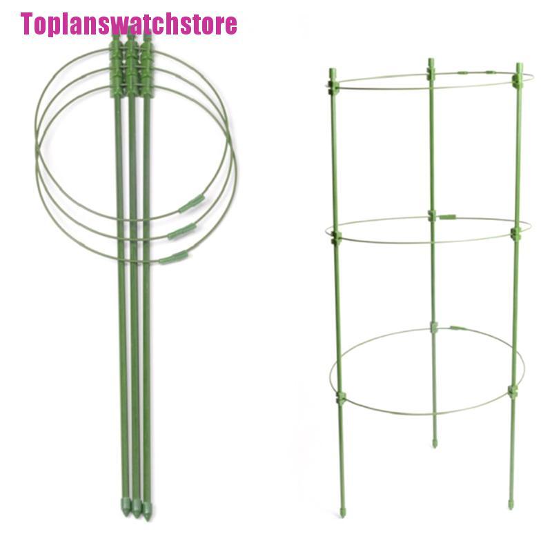 Giá Trồng Cây Dây Leo Trang Trí Sân Vườn