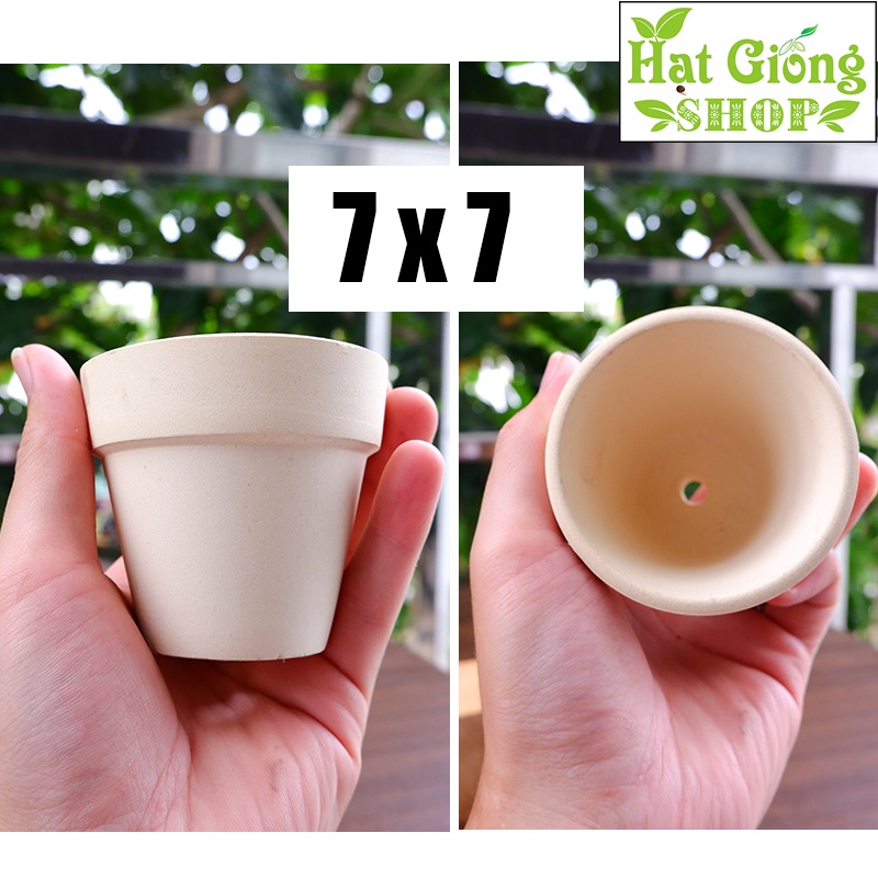 Chậu Đất nung trắng gờ mini - phù hợp trồng sen đá xương rồng