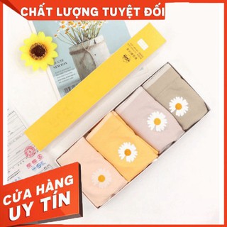 Quần lót ren nữ hoa cúc, quần lót nữ sợi tre kháng khuẩn set 4 màu /hình thật