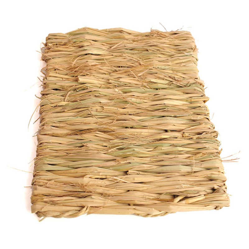 Set 3 Thảm Cỏ Handmade Cho Thỏ | BigBuy360 - bigbuy360.vn