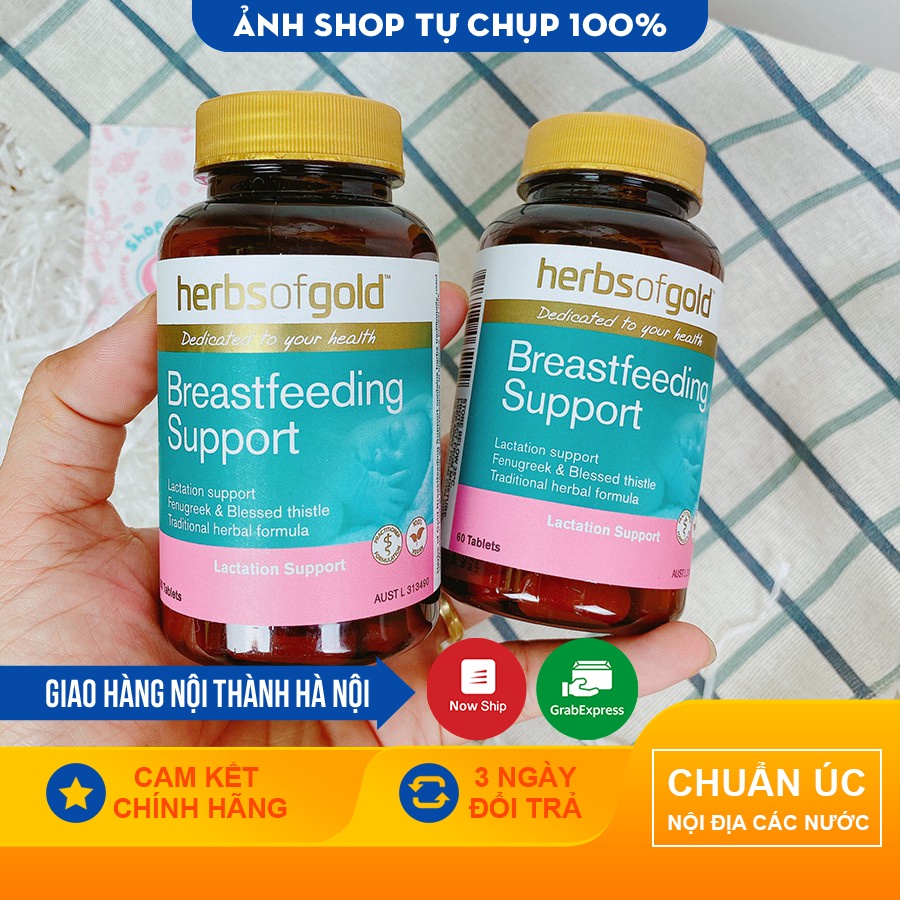Viên lợi sữa Breastfeeding Support Herbs of Gold - Úc