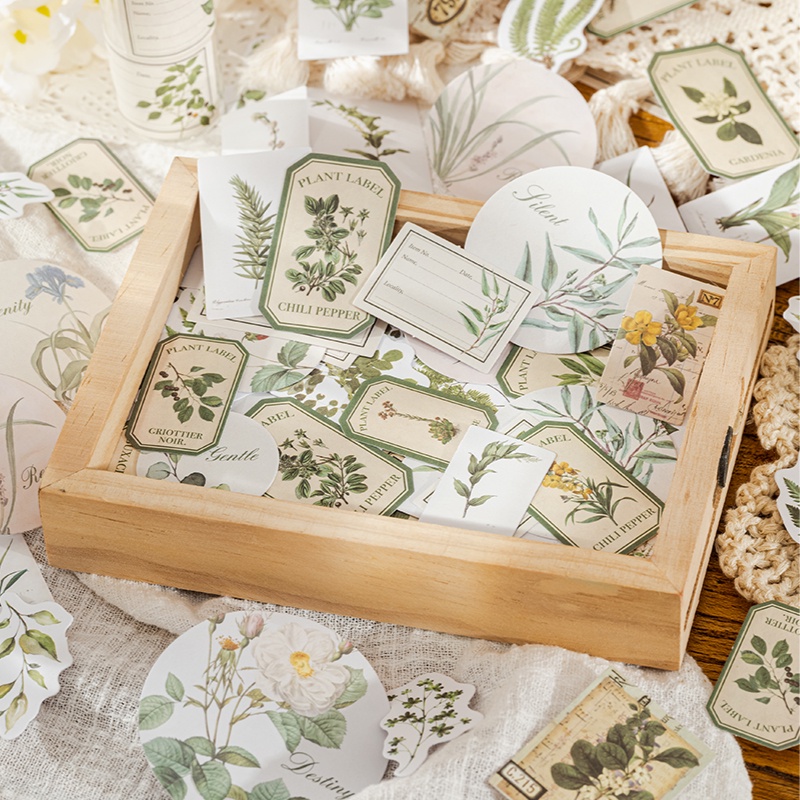 Set 30 Sticker Dán Trang Trí Album Ảnh DIY Hình Lá Cây Cổ Điển Sáng Tạo