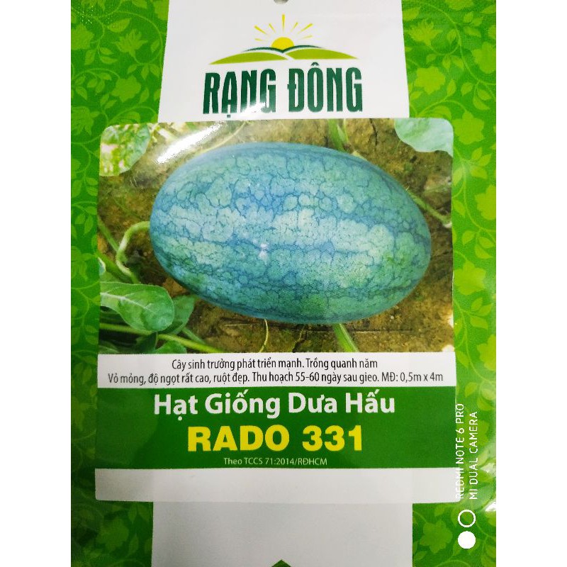 Hạt giống Dưa hấu 0.5gr❤️FREESHIP XTRA❤️