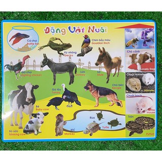 Tranh hình ảnh cho bé